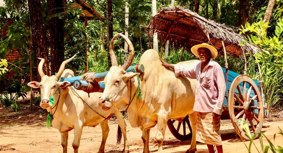 Village Tour Village Tour